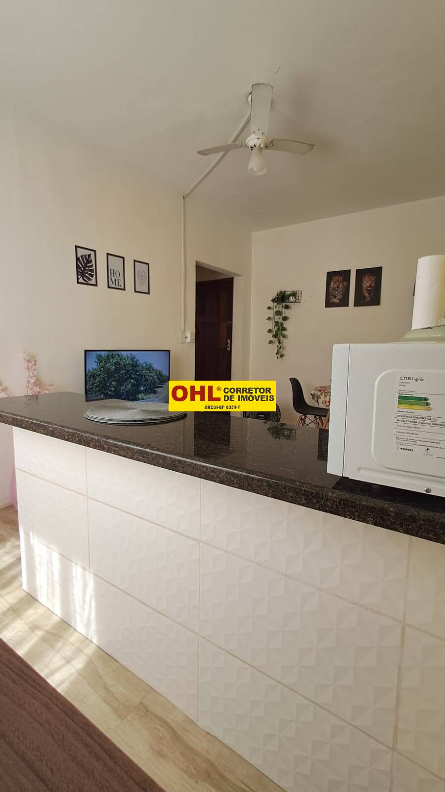 APARTAMENTO RUA TIBIRIÇA   SAO VICENTE